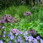 web_21-3_299x448