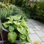 web_51-2_299x448