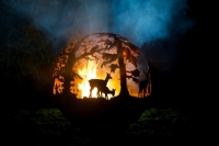 Spherical Sculptured Firepit