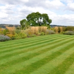 Striped lawn