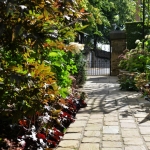 Imported Indian Sandstone Setts