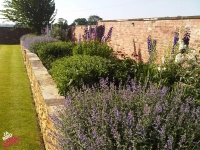 Reclaimed Brick and York Stone Walling
