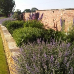 Reclaimed Brick and York Stone Walling